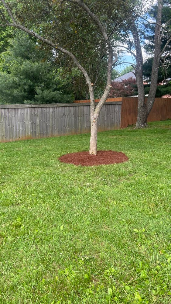 All Photos for Optimum Tree Service And Landscaping in Bowling Green, KY