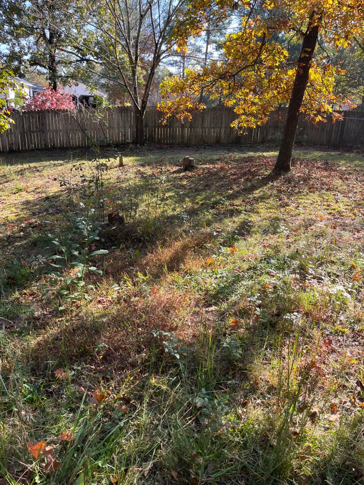 All Photos for J.P Landscaping and excavation in Chattanooga, TN