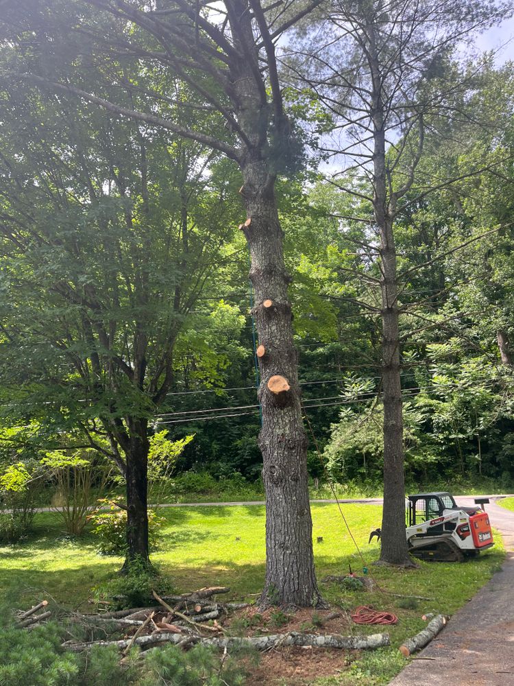 All Photos for Taylors Enterprises in Johnson City, TN