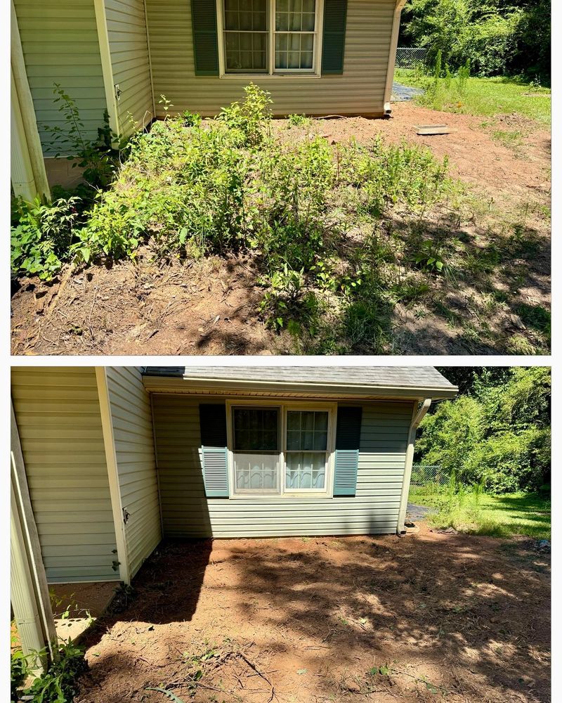 Brush Cutting and Removal for Fayette Property Solutions in Fayetteville, GA