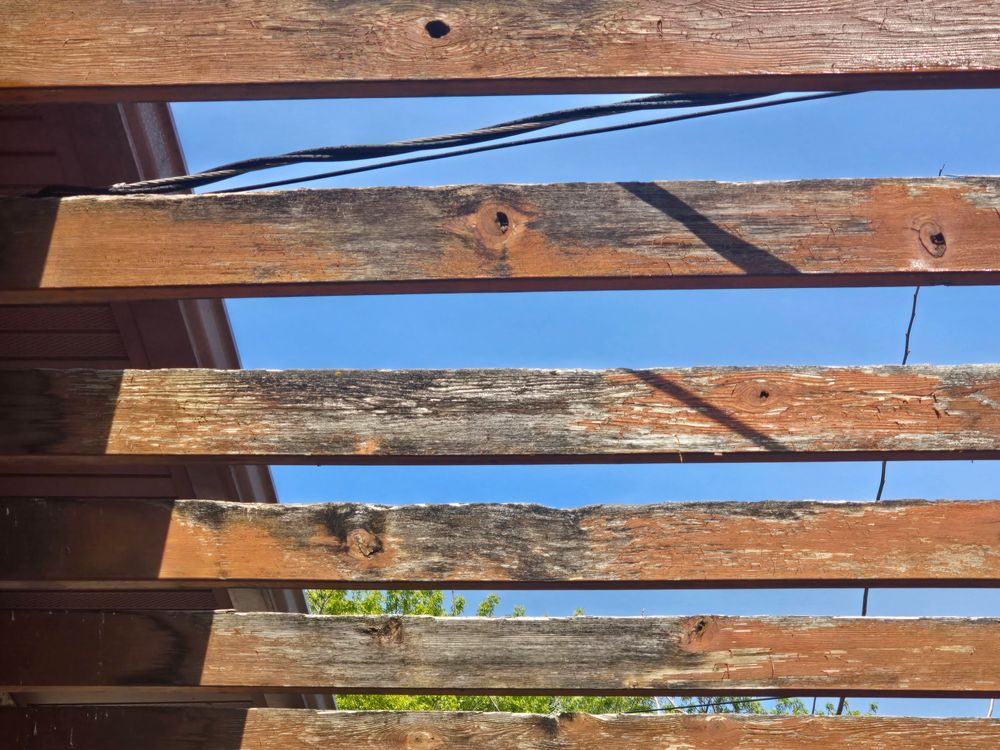 All Photos for Duraplus Topcoat Painting in New Brighton, MN