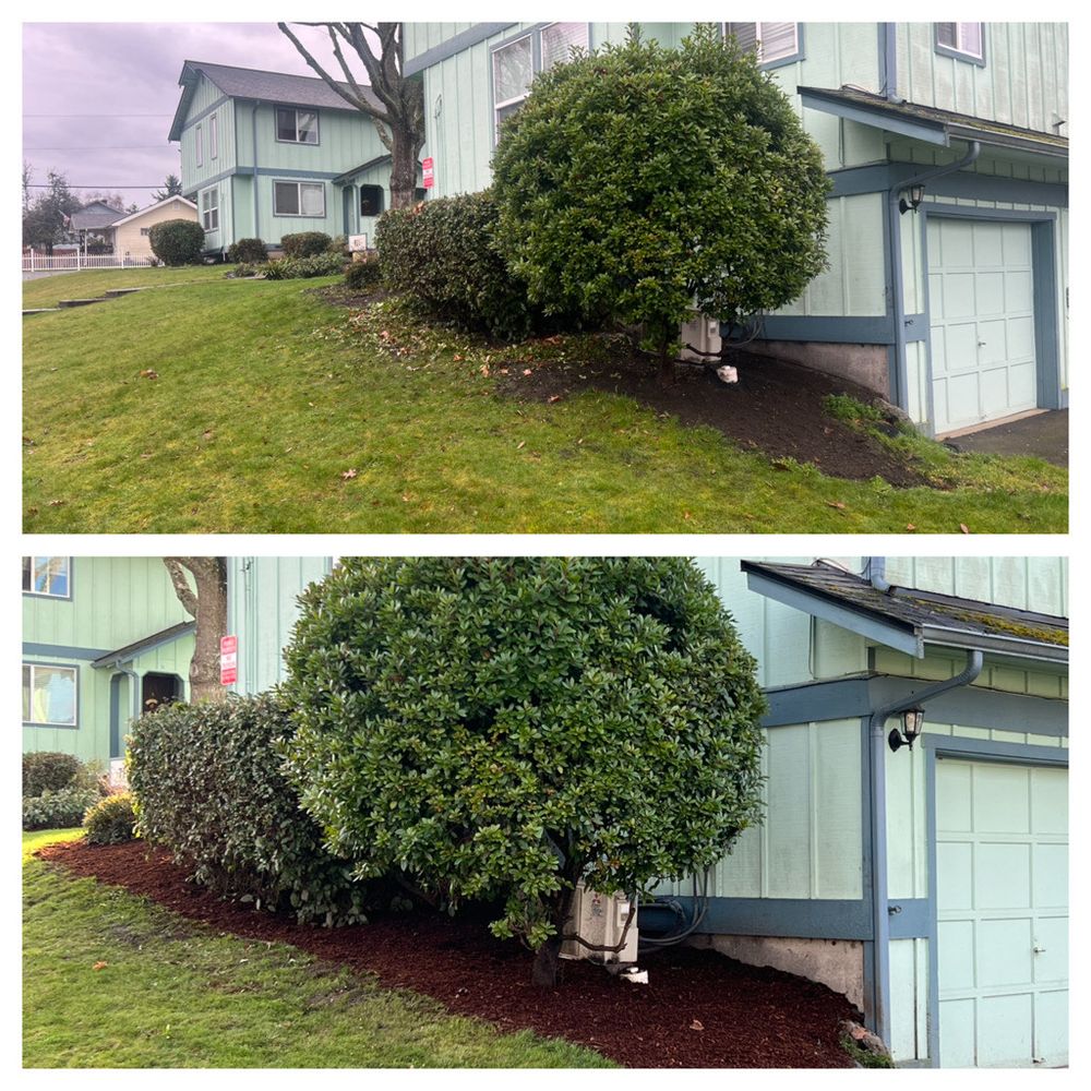 All Photos for Hall of Fame Landscaping in Bremerton, WA