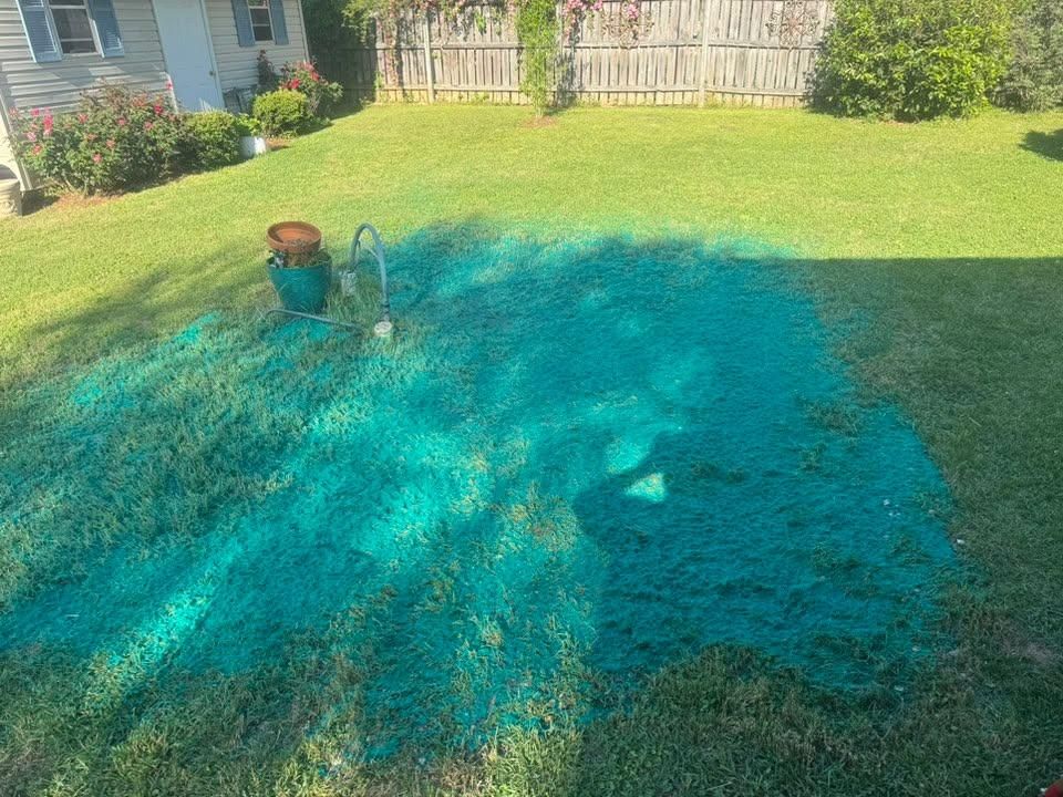 All Photos for Holland Hydroseeding LLC in Columbia, MS