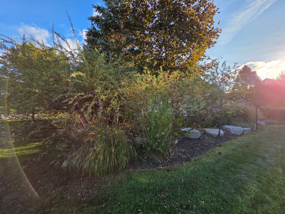 Landscaping for Jonathan A. Henne Property Services. in Hamburg, PA