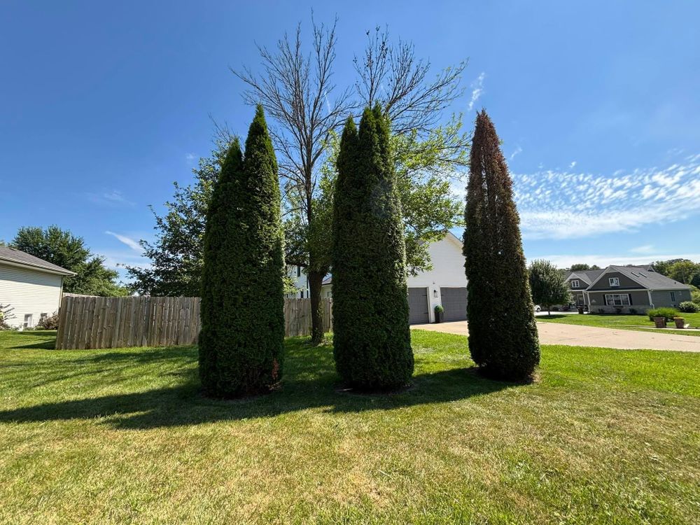 All Photos for Cena Landscaping in Rockford, IL