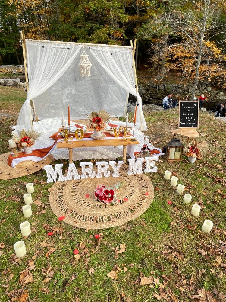 All Photos for Pink Tree Picnic in Hartford, CT