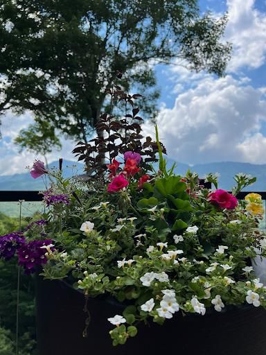 All Photos for Sustainable Property Services in Banner Elk, NC