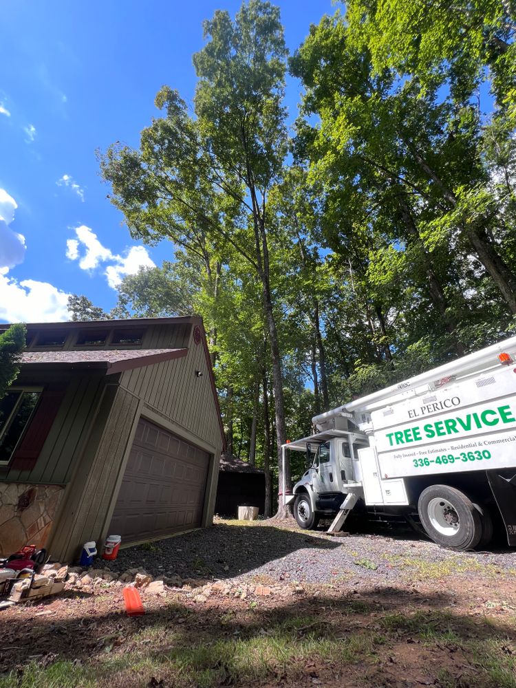 All Photos for El Perico Tree Service and Lawn Care, LLC in Boonville, North Carolina