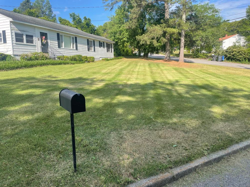 Landscaping for Sparks Landscaping in Augusta, GA