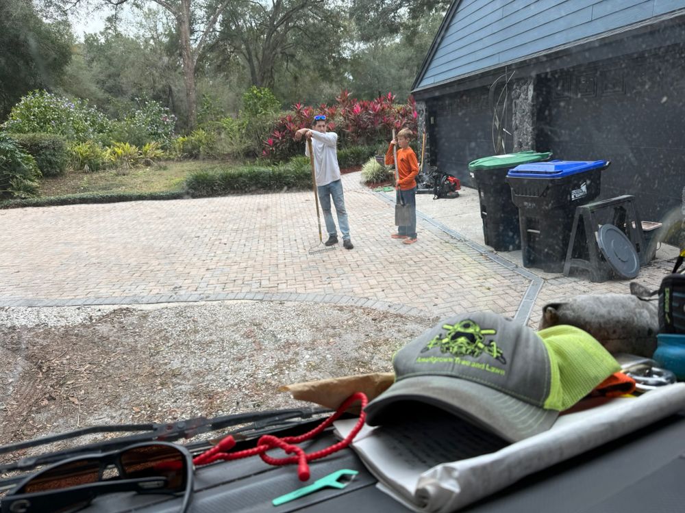 All Photos for Amerigrown Tree And Lawn in Apopka, FL