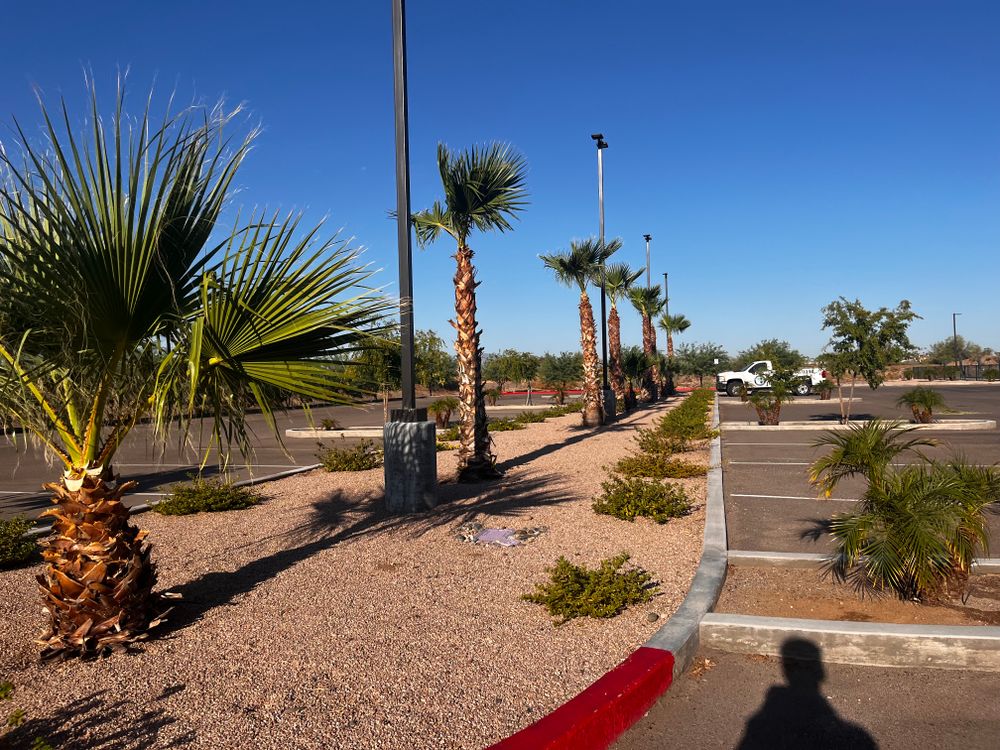 Commercial Gravel Installation for AZ Tree & Hardscape Co in Surprise, AZ