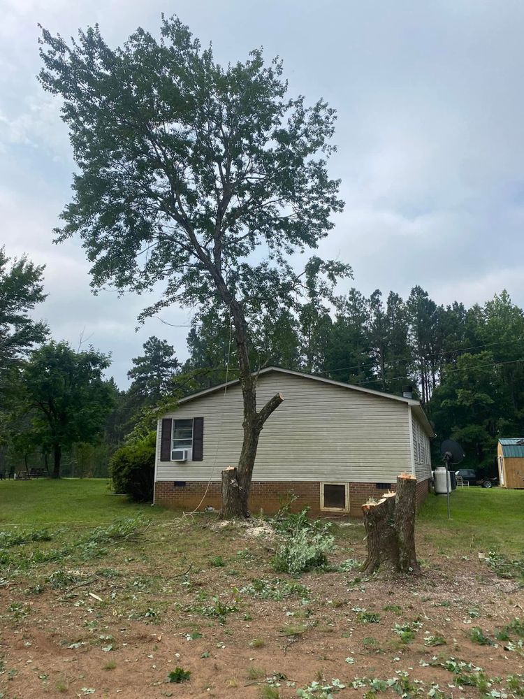 Our Brush Management service efficiently clears overgrown vegetation, enhancing property aesthetics, reducing fire risk, and promoting healthier ecosystems. Trust our experts for a safe and environmentally friendly solution for your land management needs. for Site Solutions in Lynchburg, Virginia