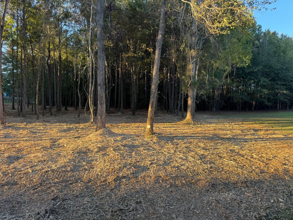 All Photos for KLNAX Enterprises in Newton County, GA