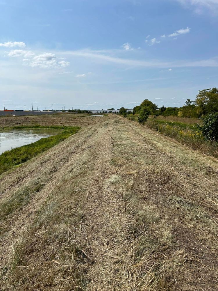 Our Forestry Mulching service efficiently clears underbrush and small trees, enhancing land appearance while promoting healthy growth. It's an eco-friendly solution that preserves desirable vegetation and prepares your property for further development. for Midwest Excavation & Landscape in Pontiac, IL