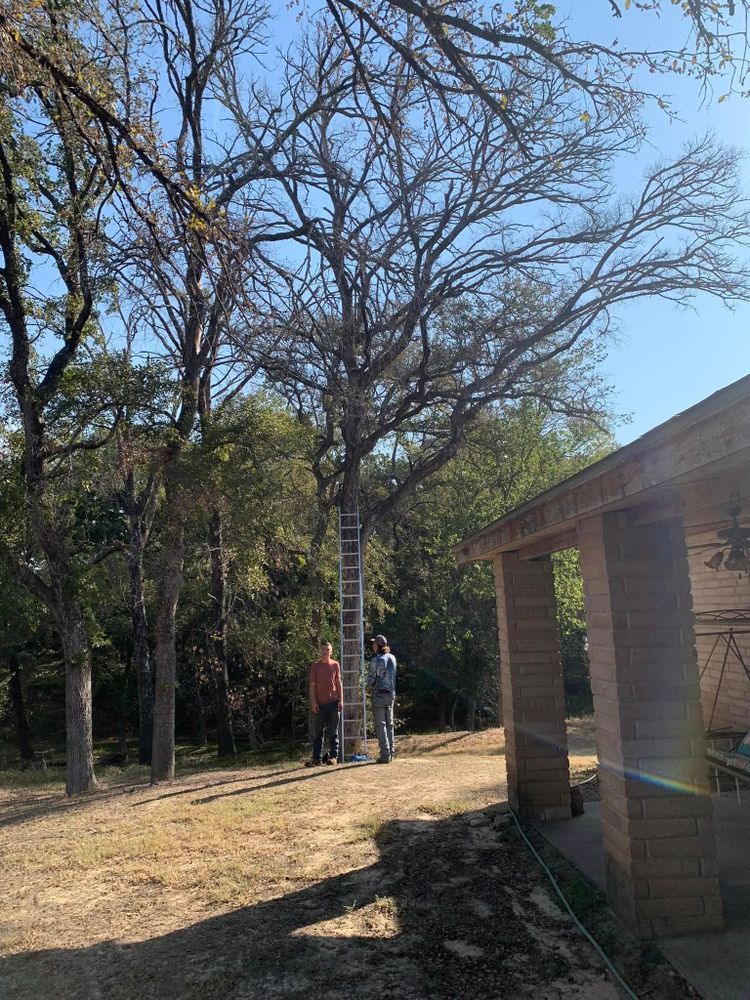 All Photos for Marks Tree Service in Fort Worth, TX