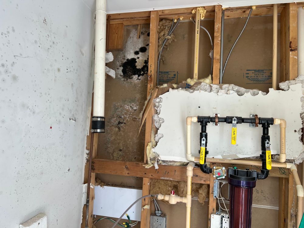 Mold Remediation for N&D Restoration Services When Disaster Attacks, We Come In in Cape Coral,  FL