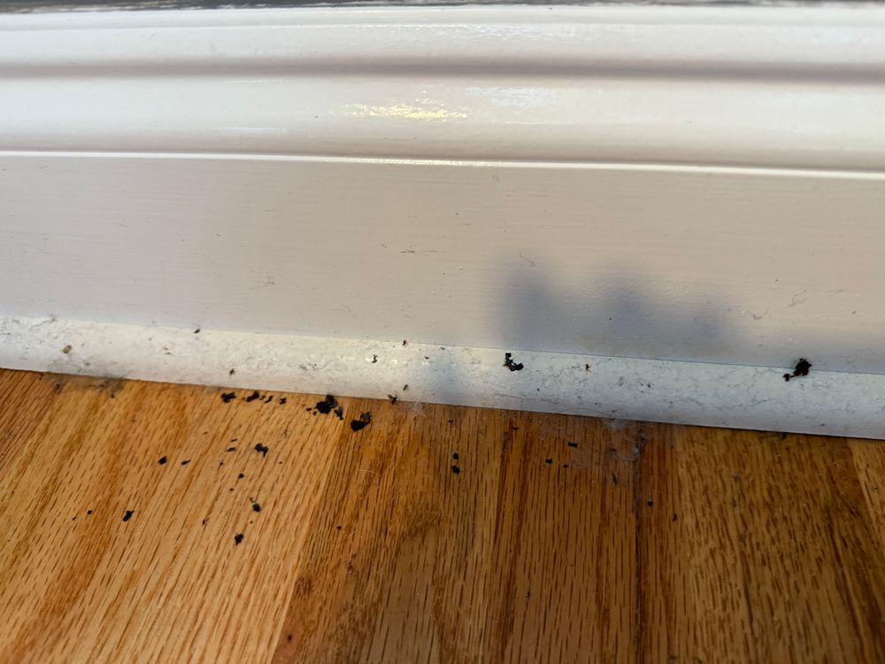 All Photos for Time Maid Easy in Winston-Salem, NC