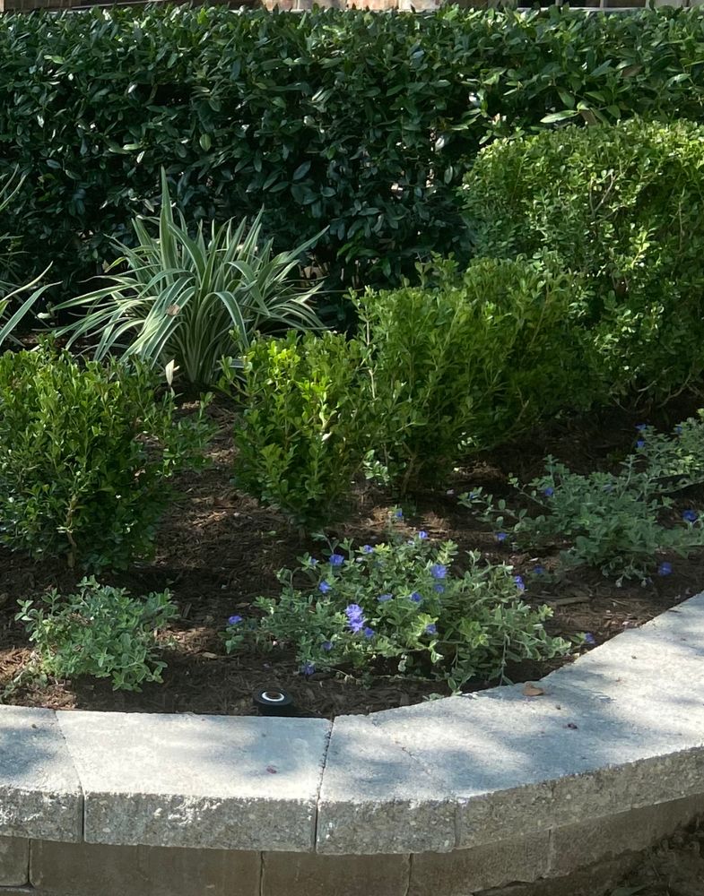 All Photos for Atlas Land Design in Creekside Park, TX