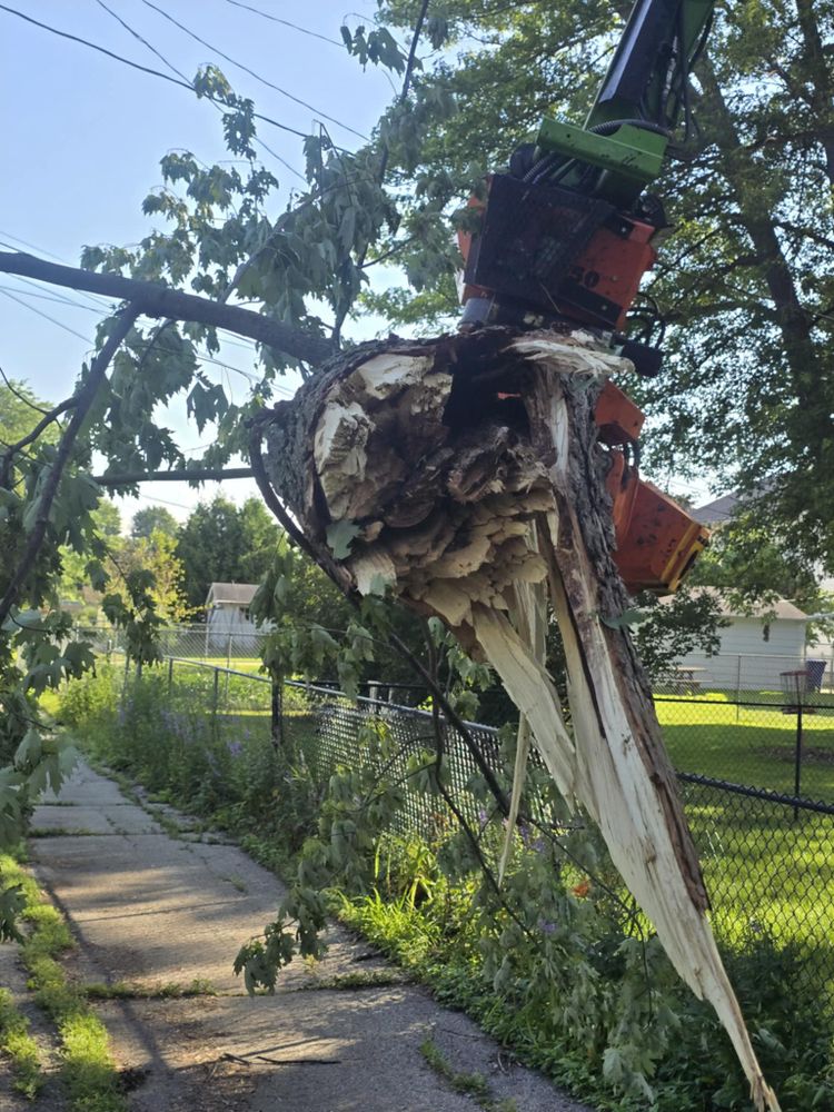All Photos for Tree-B-Gone in Shawano, WI