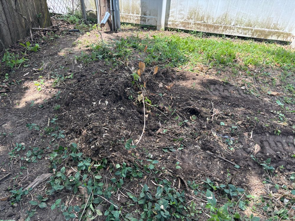 All Photos for Conrad's Stump Removal in Columbus, IN
