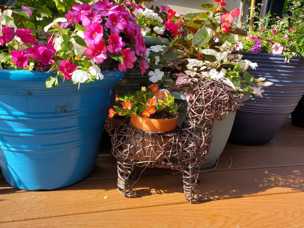 All Photos for Evolution Earthscapes, LLC in Ludlow, MA