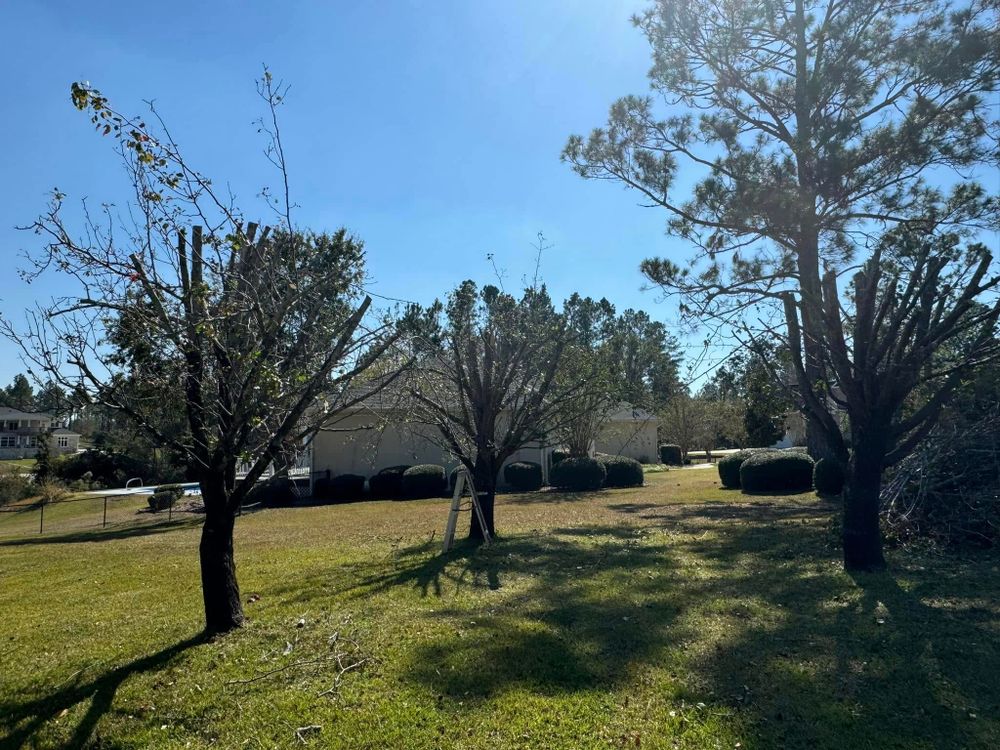 All Photos for Sierra Verde Landscaping in Vidalia, GA