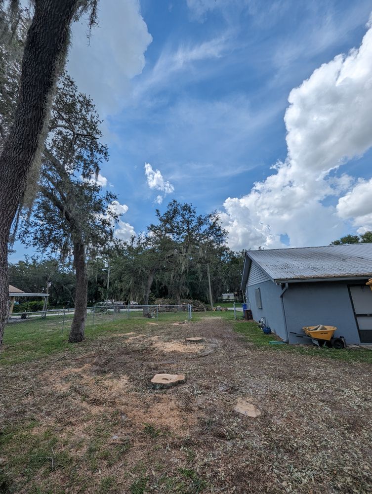 All Photos for Regal Tree Service and Stump Grinding in Wauchula, FL
