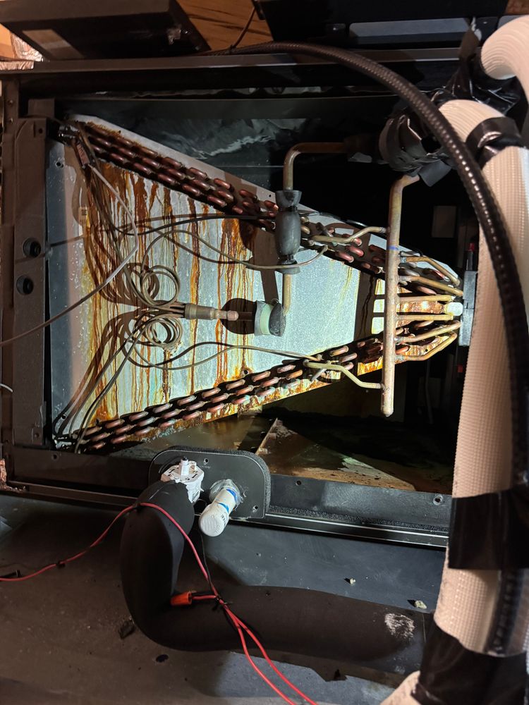 All Photos for College Grove Service Company in College Grove, TN