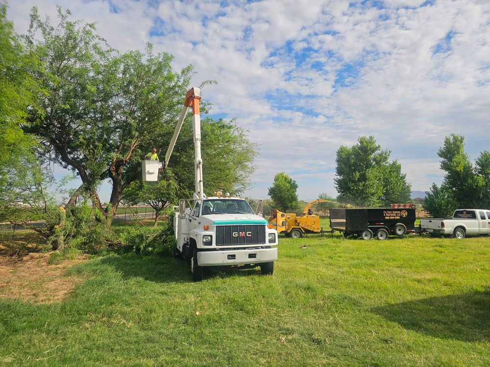 All Photos for T's Tree Service and Firewood in Apache Junction, AZ