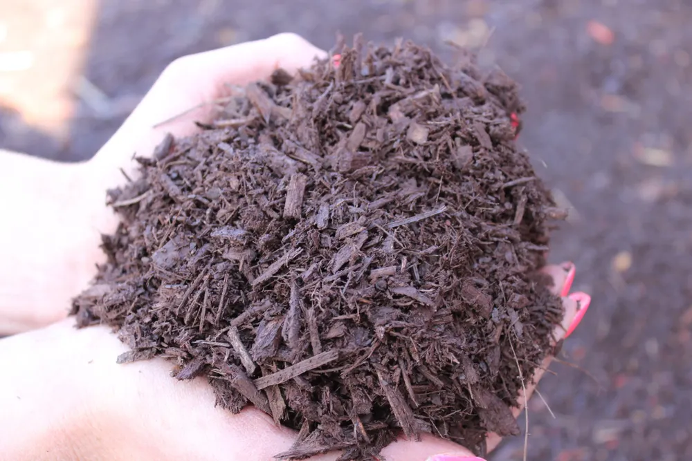 All Photos for From the Ground Up Landscaping & Lawncare in New Lenox, IL