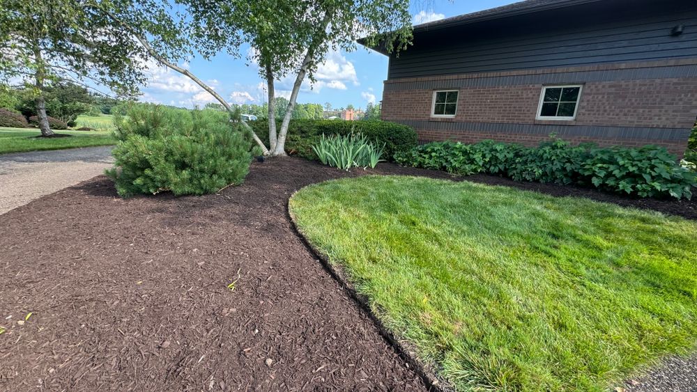 All Photos for Green Stripes LLC in North Canton, OH