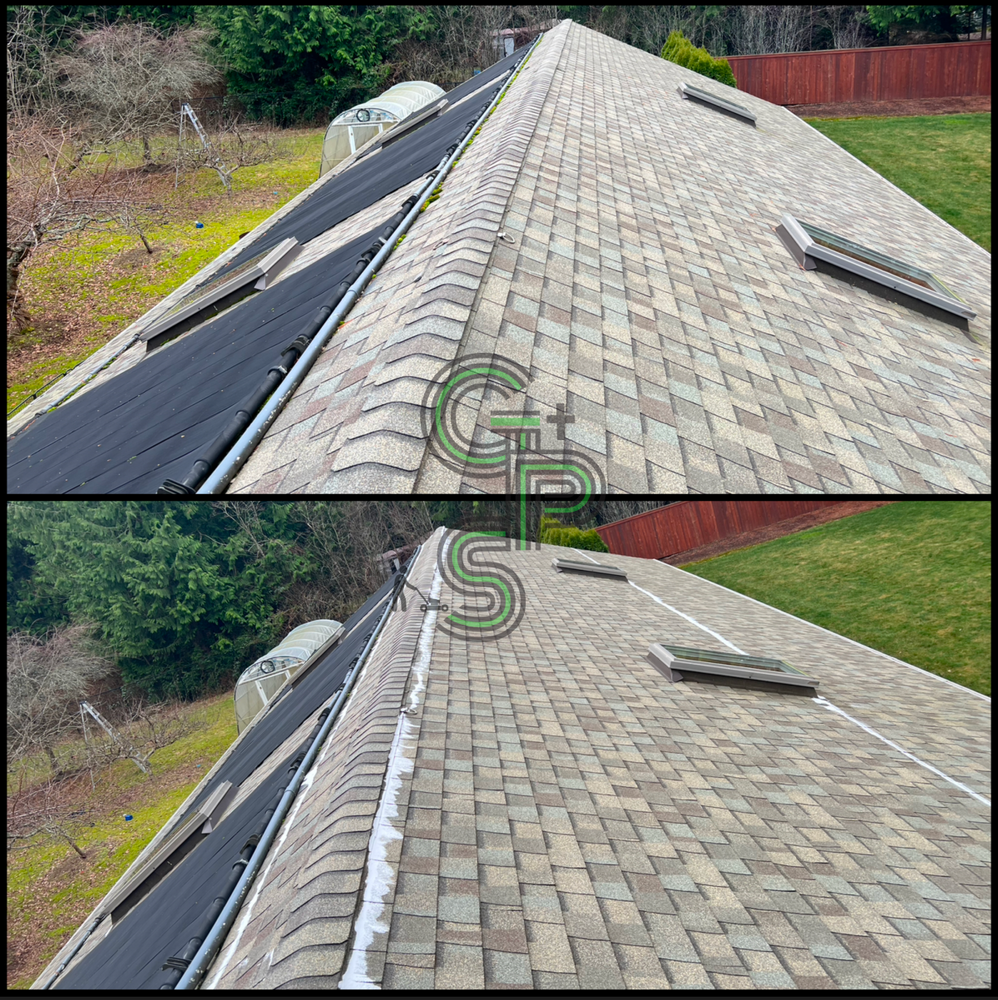 Roof and Gutter Cleaning for Golovin Property Services LLC in Marysville, WA