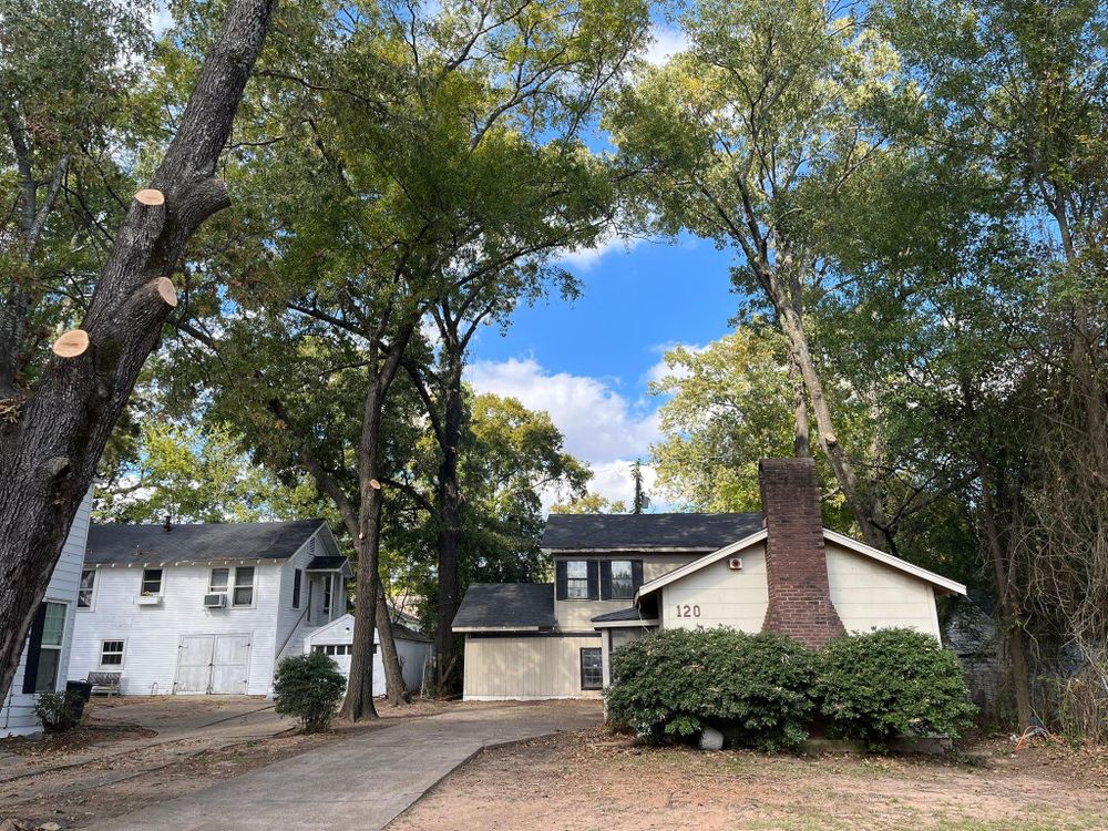 All Photos for JC Land and Tree Service in Kilgore, TX