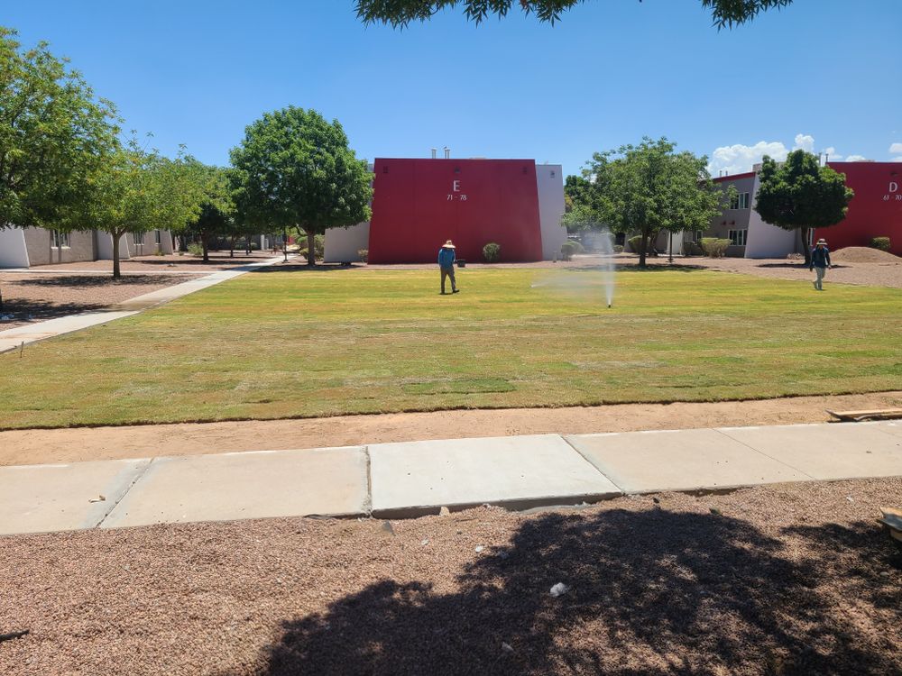 Commercial Sod & Irrigation for ADM Landscaping & Irrigation LLC in El Paso,  TX