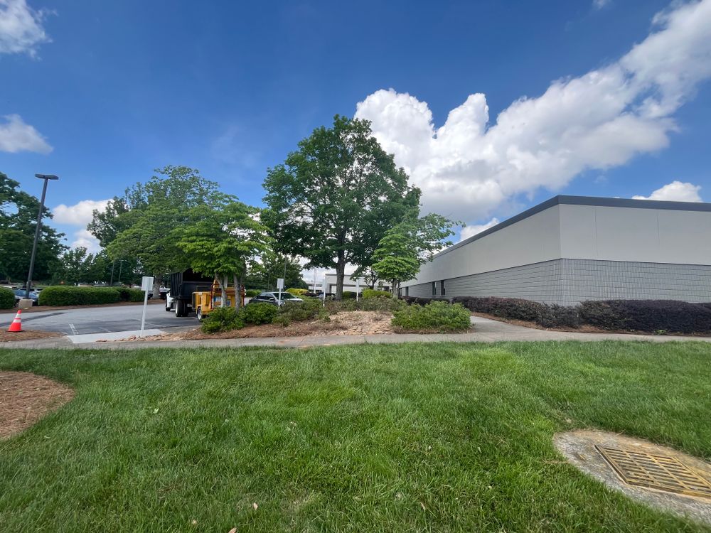 All Photos for J&M Stump Grinders LLC in Douglasville, GA