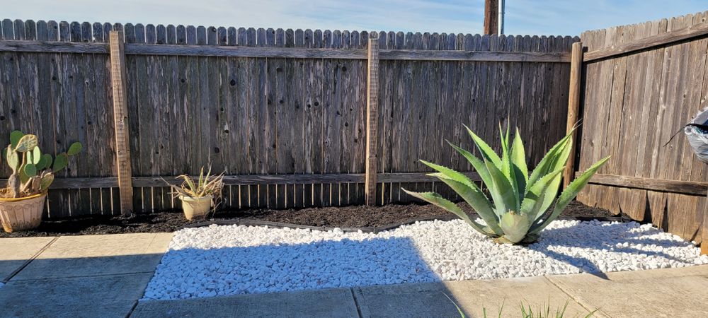 All Photos for Texican JLS in Manor, TX