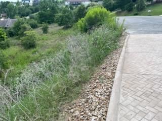 All Photos for Oviedo Land & Garden in Bastrop, TX