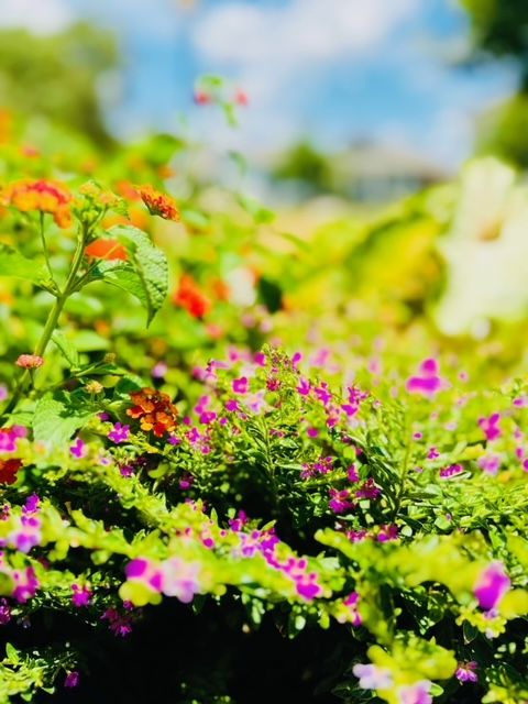 All Photos for Rustic Roots Landscaping in Austin, TX