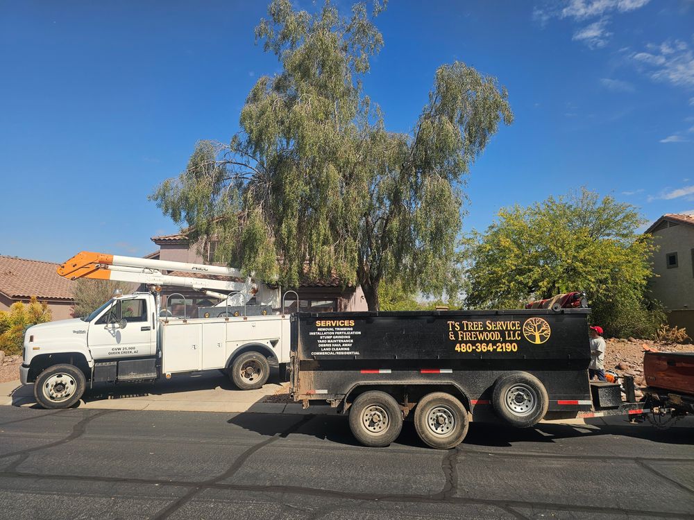 Tree Removal for T's Tree Service and Firewood in Apache Junction, AZ