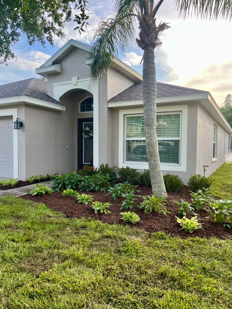 Landscaping for Verimay's Garden and Landscaping in Hillsborough County, FL