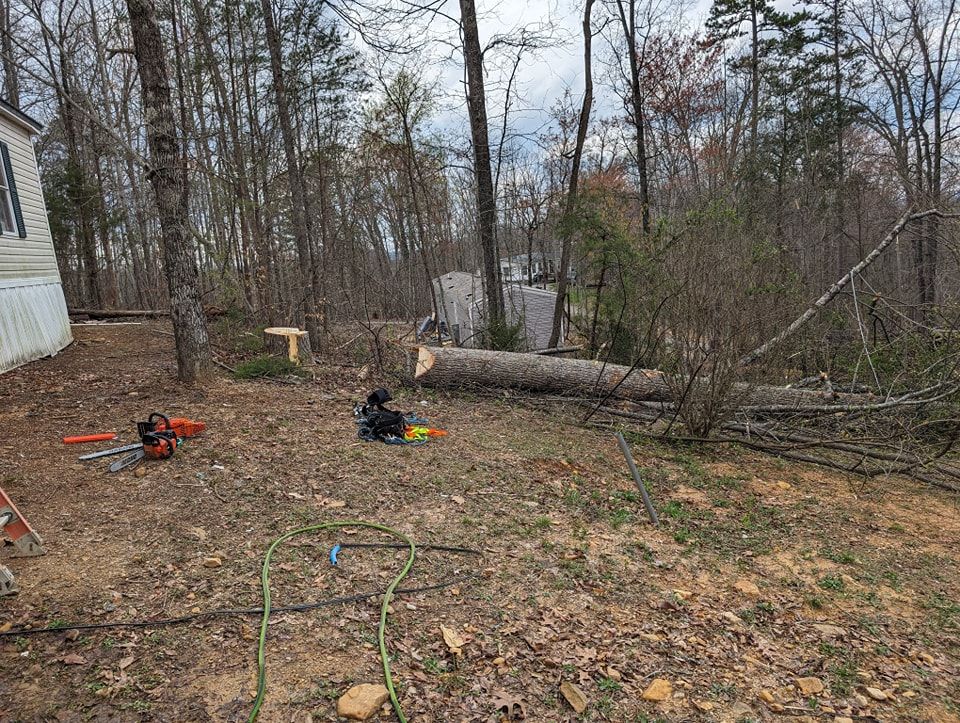 All Photos for Wade's Family Tree Service in Townsend, TN