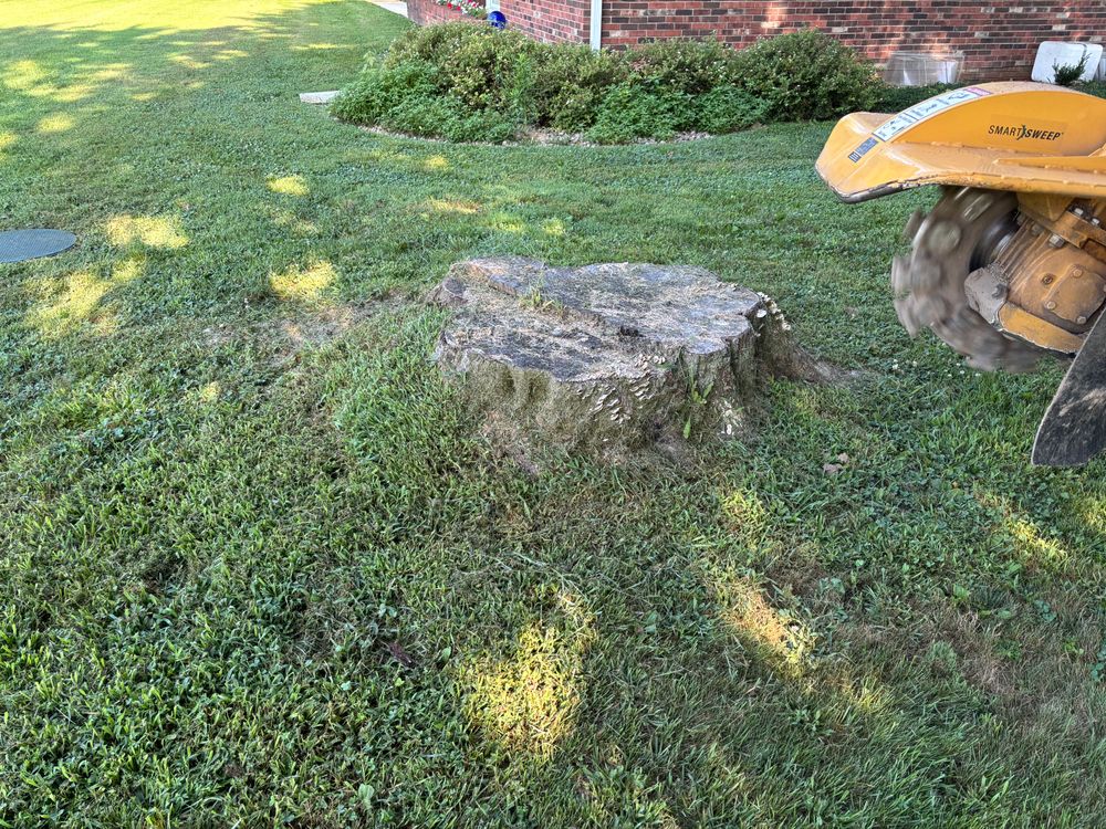All Photos for Conrad's Stump Removal in Columbus, IN