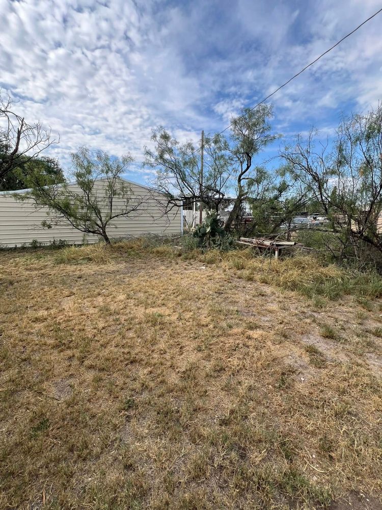 All Photos for Lion In The Tree Trimming Service in Big Spring, TX