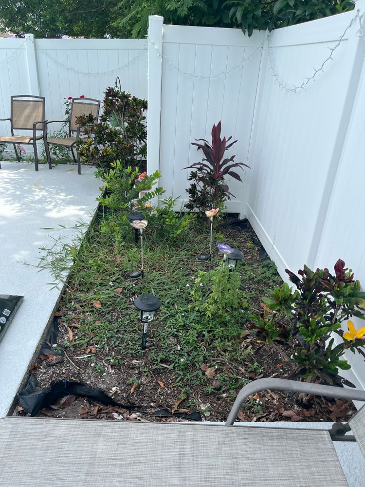 All Photos for Space Coast Property Maintenance and Management LLC in Melbourne, FL