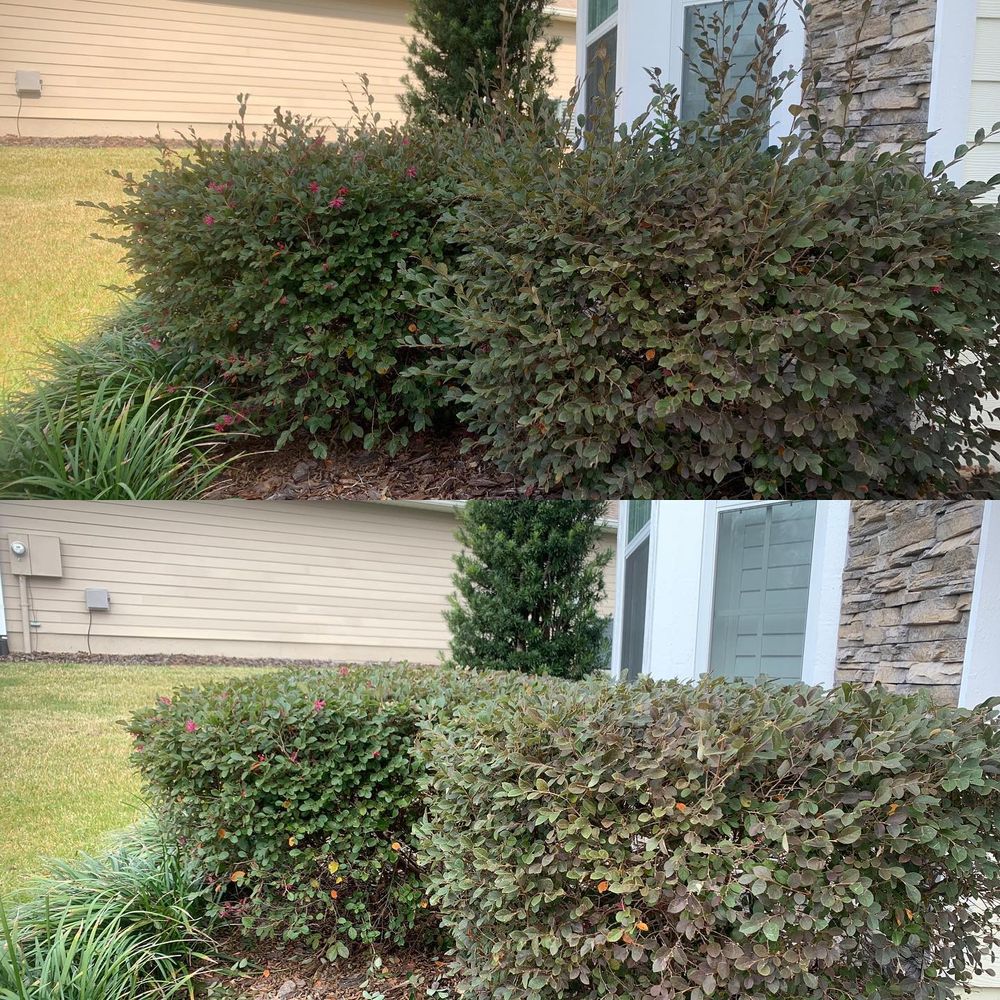 Landscaping for Kings Legacy Services in Gainesville ,  FL