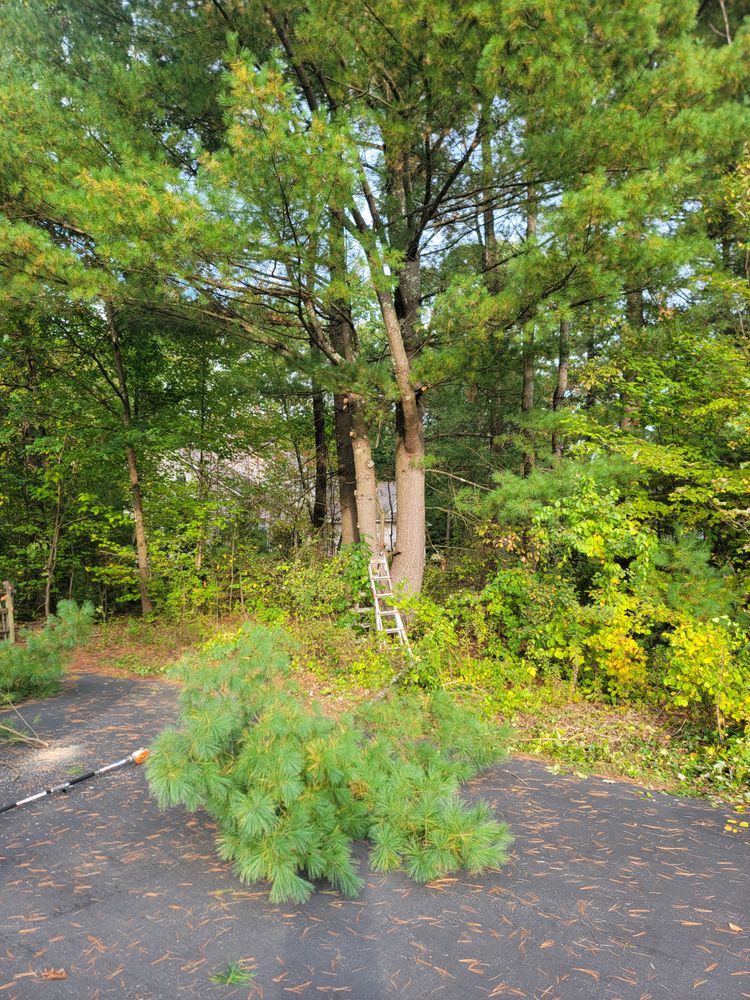All Photos for Sweet Scapes in Ballston Spa, NY