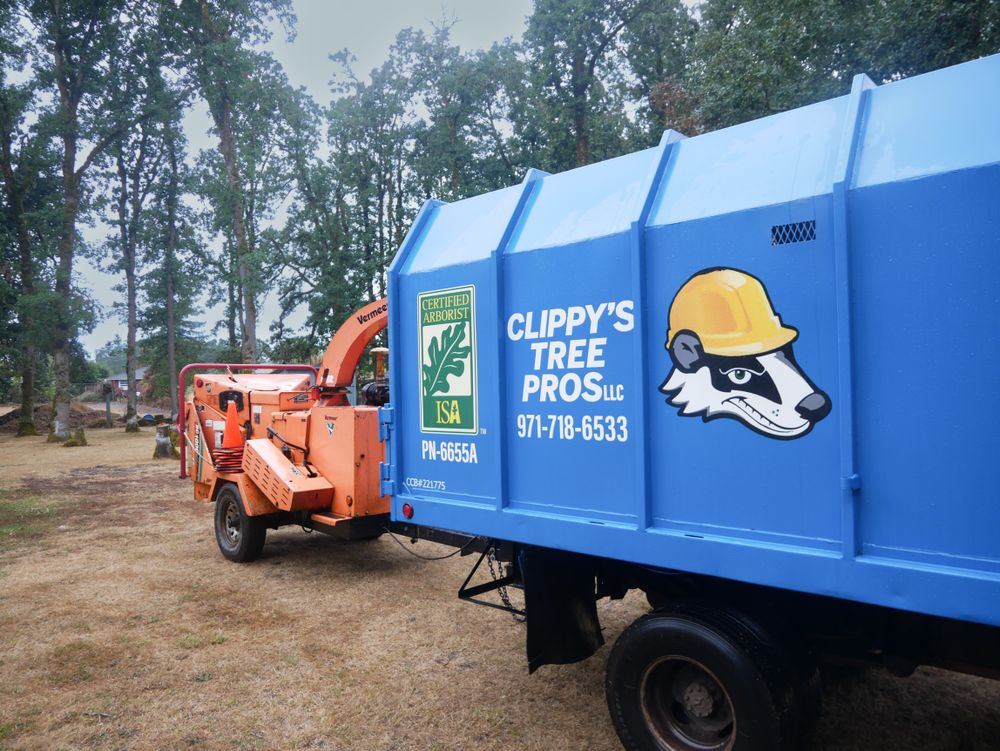 All Photos for Clippys Tree Pros in Stayton, OR