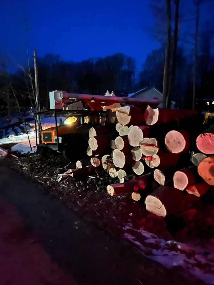 Our Logging Standing Timber buyer service helps property owners safely and efficiently manage their wooded areas while also offering "forestry mulching & brush hogging" for clearing overgrown land and maintaining property aesthetics. for J&E Tree & Excavation Services in Sandy, PA