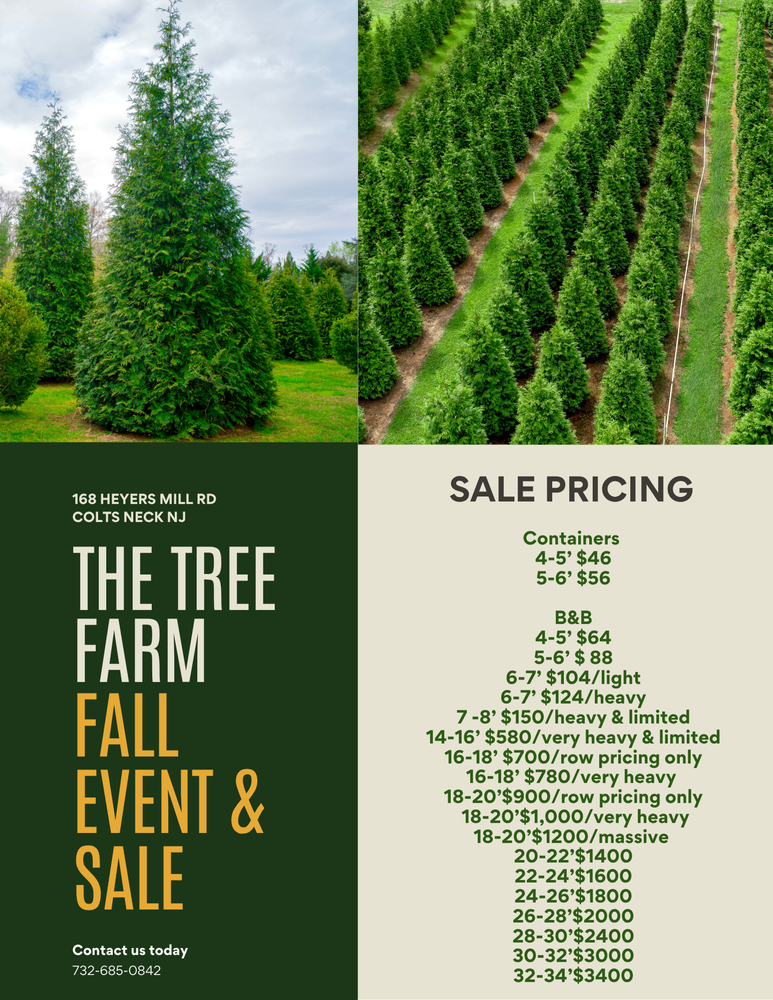 Premium Landscape Maintenance for  in Morristown, NJ