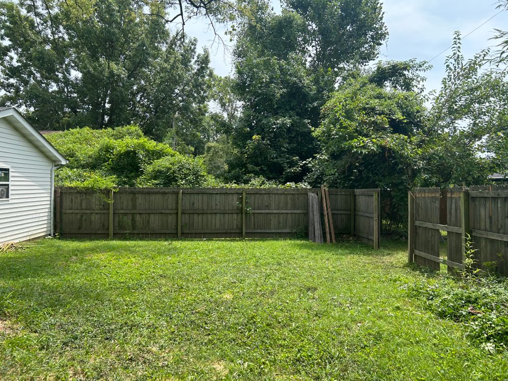 All Photos for Stinger Tree Service in Belleville, IL